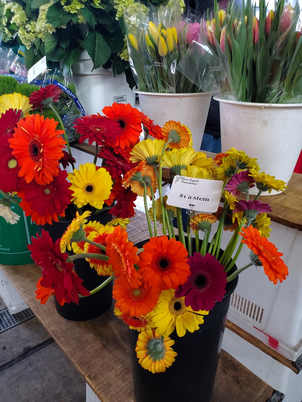 A Quiet Friday at&nbsp;Home