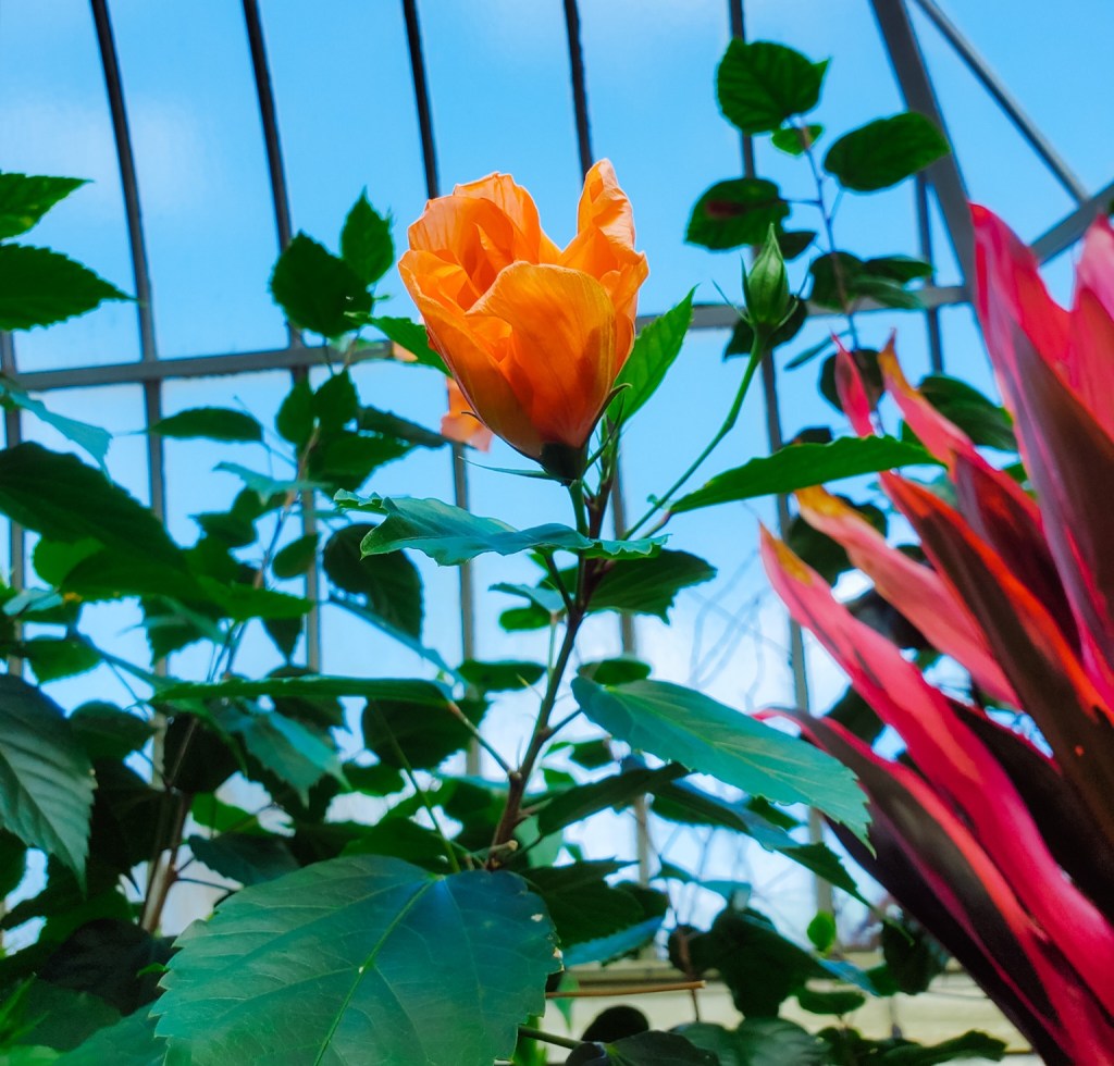 It’s Okay to Start Over&nbsp;Again