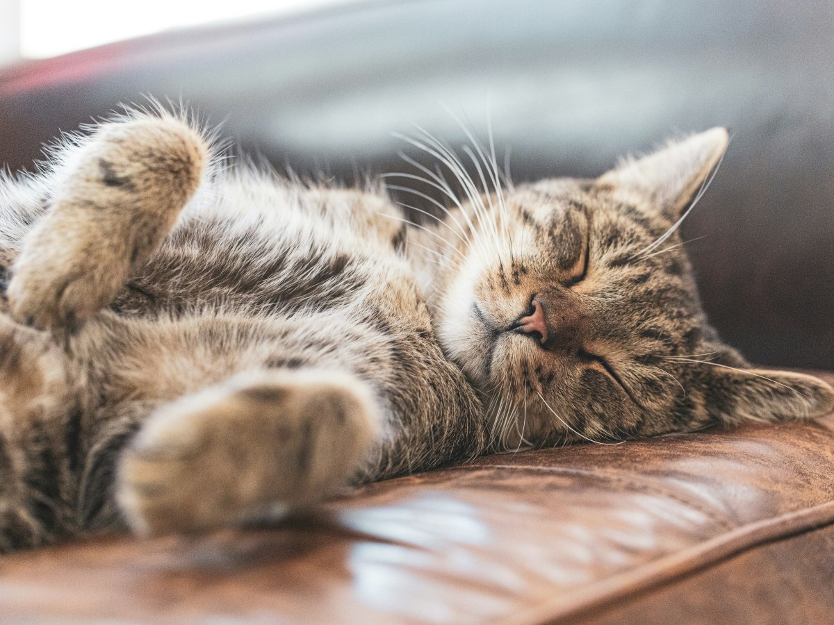 A Cozy Saturday at&nbsp;Home