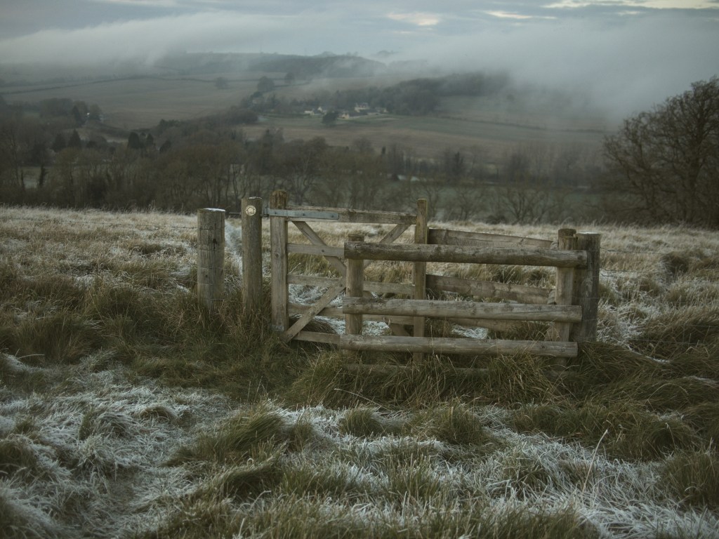 A Small Thought on Faith