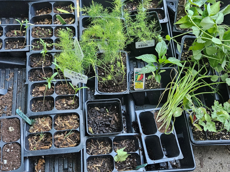 Just did a little gardening&nbsp;today