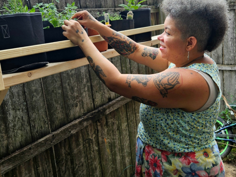New herb plant&nbsp;shelves
