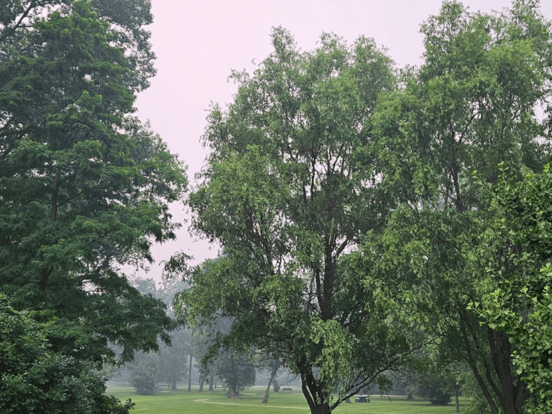 Air quality
