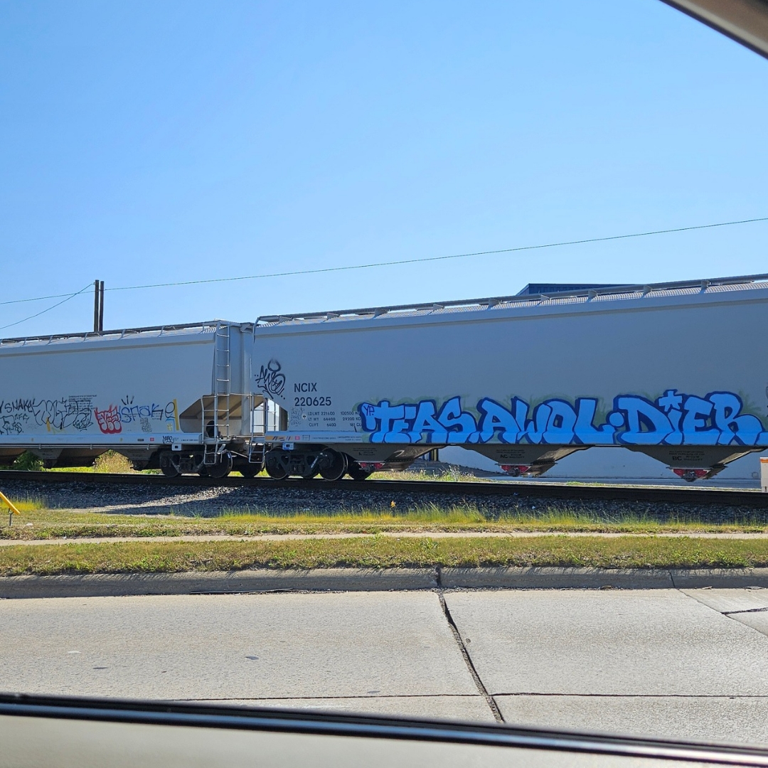 Wordless Wednesday: The Graffiti Train